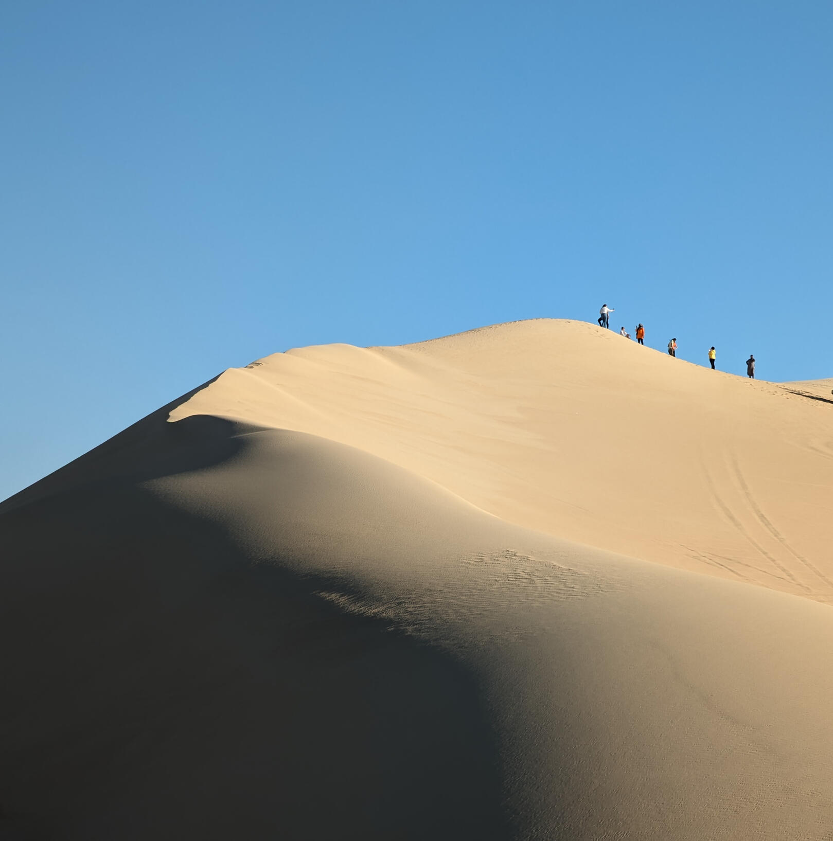 Mindfulness safari
